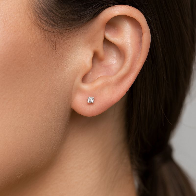 Puces d'oreilles  Arizona