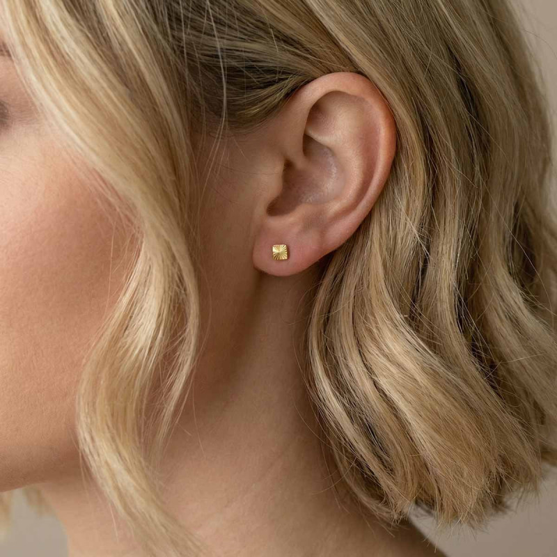 Puces d'oreilles Lioré