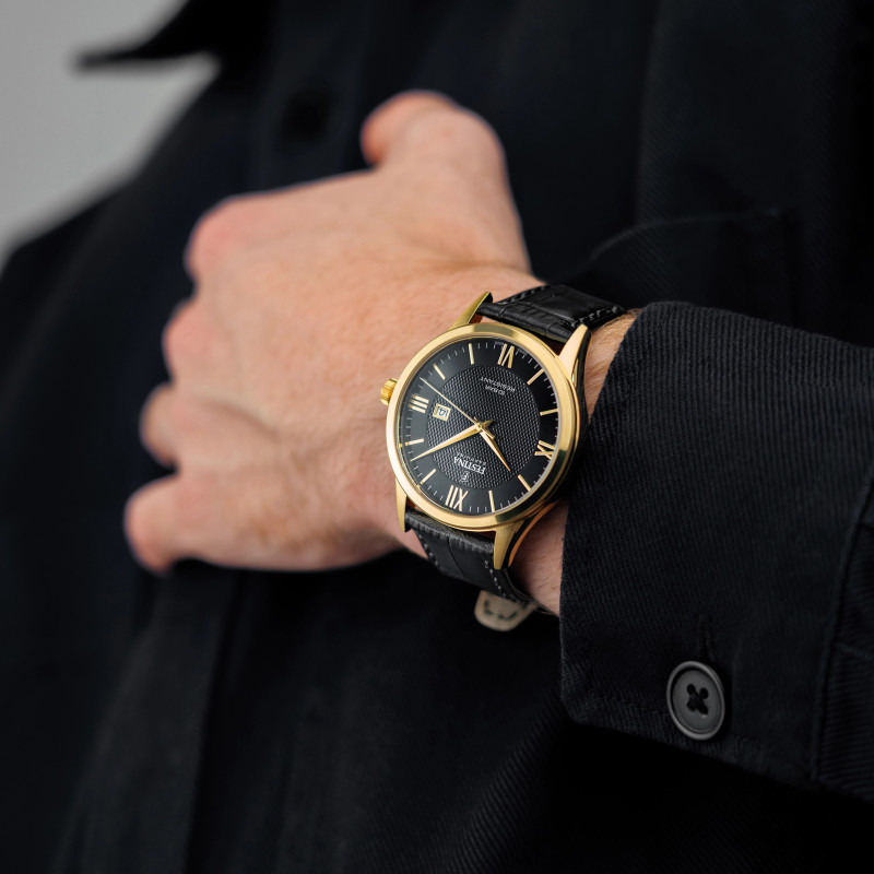 Montre FESTINA SWISS MADE F20010/4