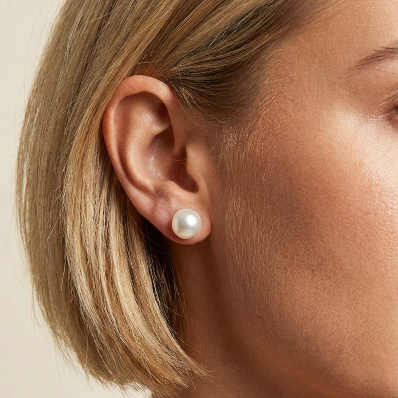 Puces d'oreilles Shelby