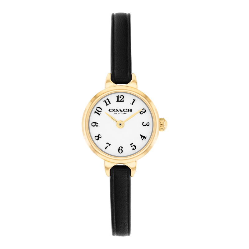 Montre Iris Coach