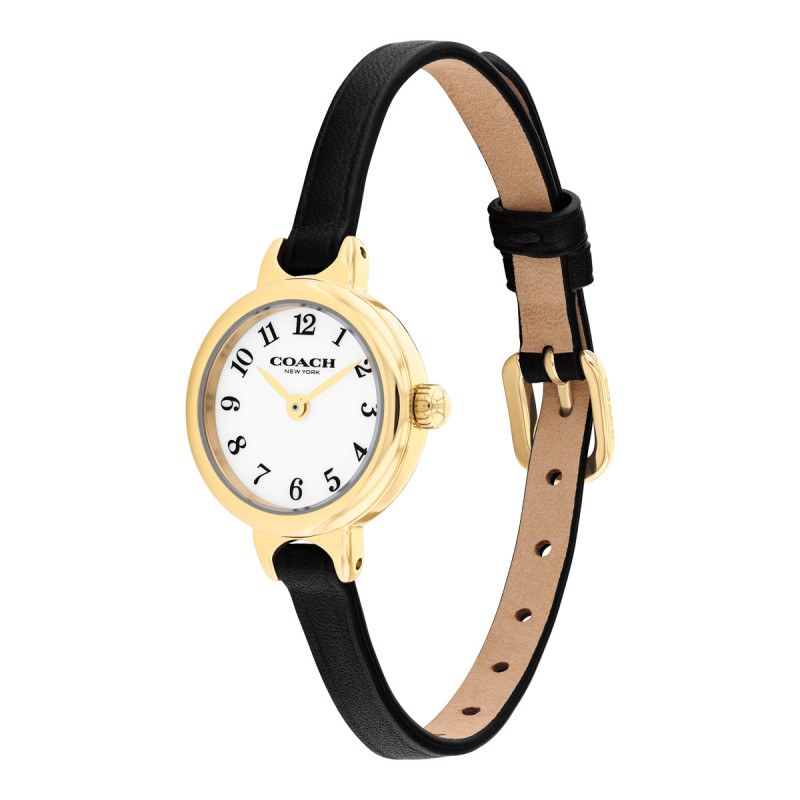 Montre Iris Coach