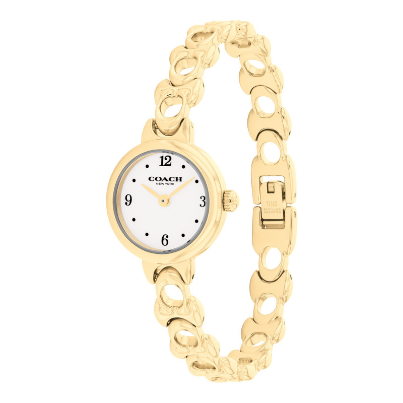 Montre Iris Coach