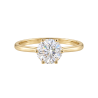 Solitaires classiques